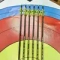Стрелы MUSEN Archery Fox из чистого карбона SP600 4,2 мм 30 дюймов (9 шт.)