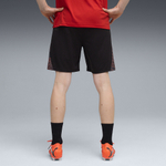 Мужские шорты PUMA individualFINAL Shorts