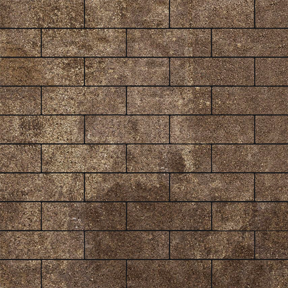 Тротуарная плитка ПРЯМОУГОЛЬНИК 300х100 мм - Листопад гранит Хаски