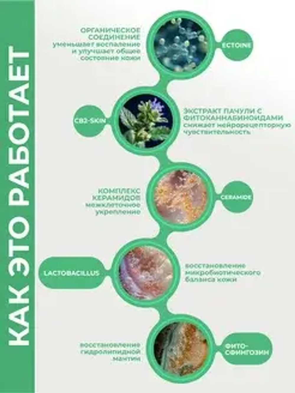 Крем восстанавливающий и увлажняющий с гиалуроновой кислотой | BIOHYALUX HA Barrier Conditioning Cream, 30 гр