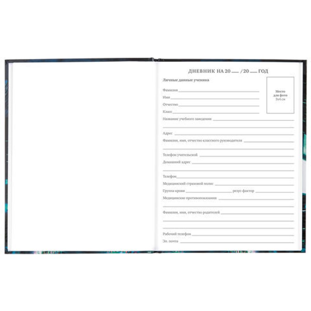 Дневник 5-11 класс 48 л., твердый, BRAUBERG, глянцевая ламинация, с подсказом, "Future", 106406