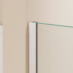 Душевая перегородка RGW WA-054 (WA-010 + Z-072) (Прозрачное, 1200)