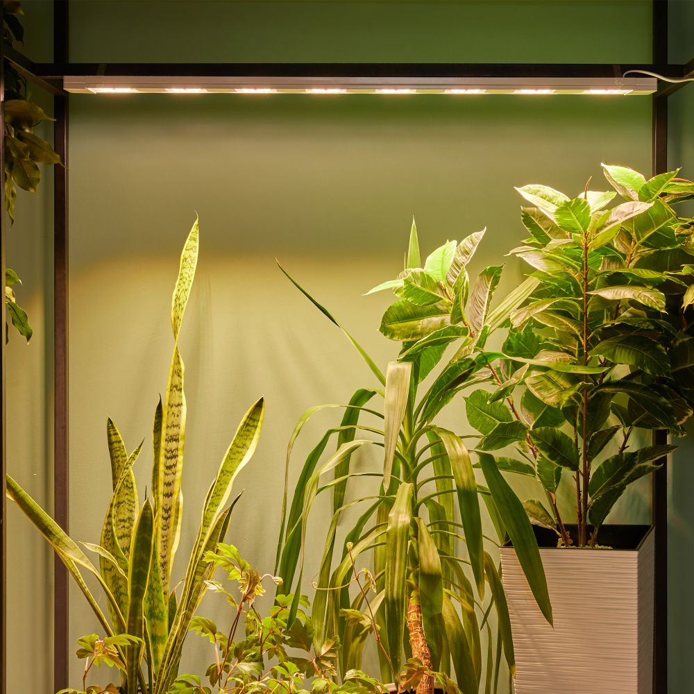 ULT-P71B-100W-SPFB-L105 WHITE WINTERGARDEN Светильник светодиодный накладной. Спектр для фотосинтеза. Корпус белый. Угол 60 градусов. ТМ Uniel