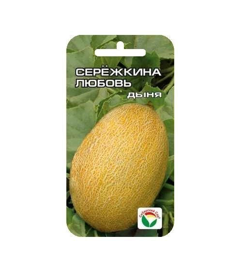 Дыня Сережкина любовь