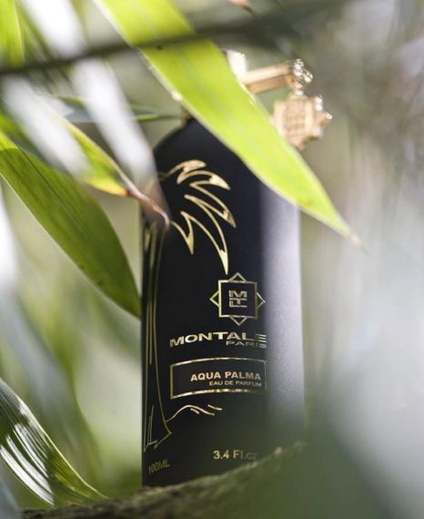 Montale Aqua Palma
