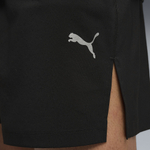 Мужские шорты PUMA DREAMRUN 5 DryCELL Short