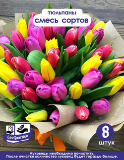 Тюльпан Луковицы неочищенные, Микс сортов, 8шт