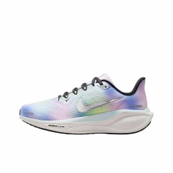 Женские кроссовки Nike Air Zoom Pegasus 41 'Multi-Color Metallic Silver' HJ7816-400