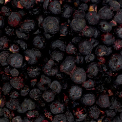 Черника сублимированной сушки,целые ягоды, 250 гр.