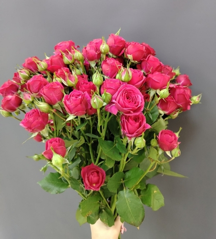 Букет из 11 веток кустовых роз