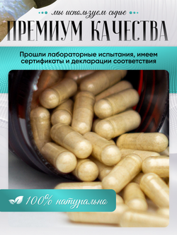 Веселка обыкновенная (Phallus impudicus) капсулы 60 штук по 600 мг.