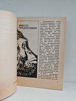 Шестой день творения