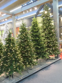 Ель Ирландская с лампочками 425 см., 1548 LED ламп, литая хвоя+пвх, Black Box (74396)