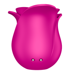 Pro 2 Modern Blossom