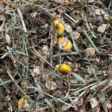 Летние Анисовый бриз