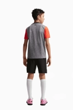 Футболка Nike Chelsea FC 25/26 Academy Pro Junior - серый