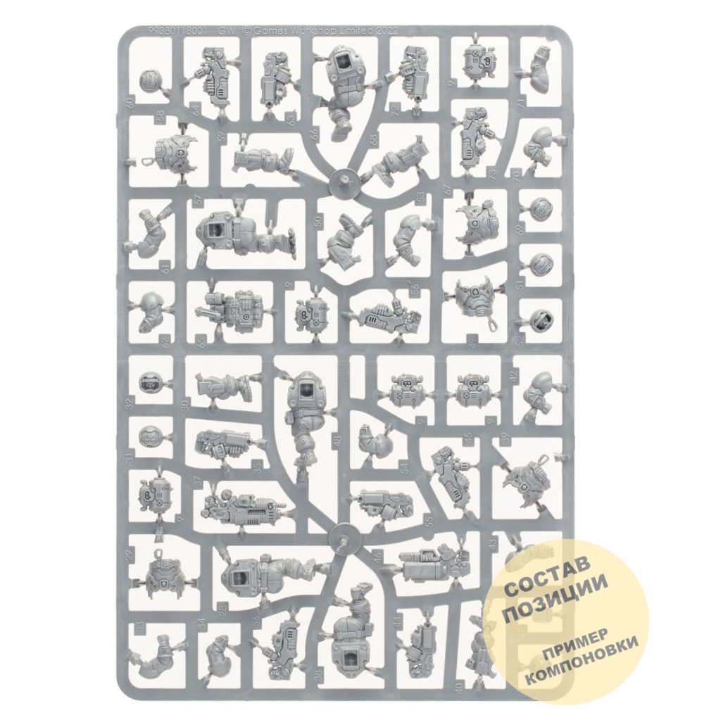 Hearthkyn Warriors (10)