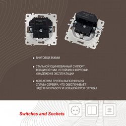 Розетка с заземлением и со шторкой и 2хUSB, без рамки Arte Milano am-203 203.47-1.white