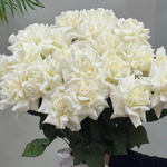 Французская Роза