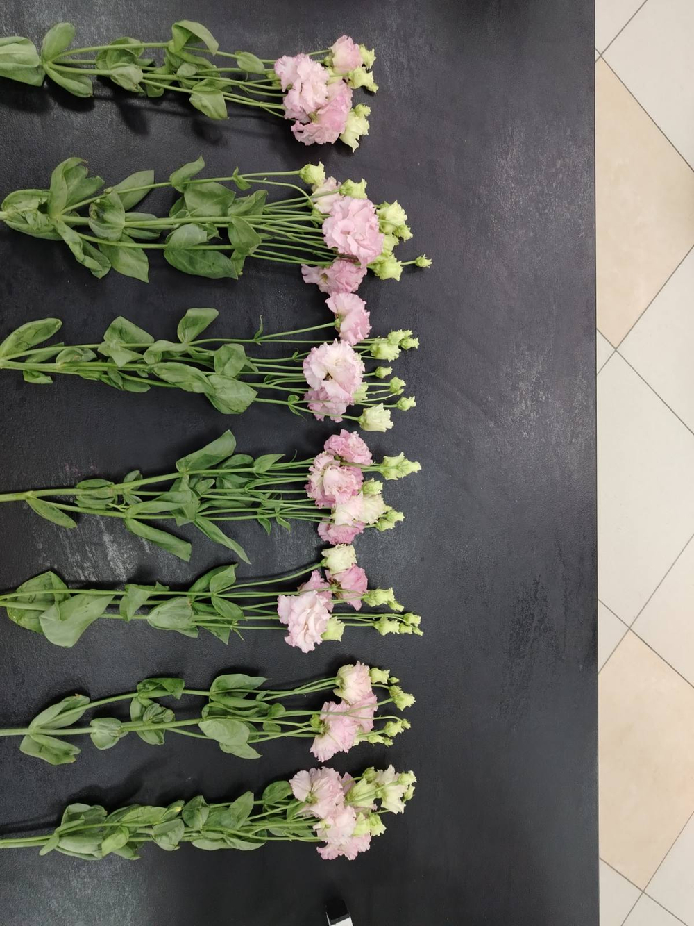 Пять веточек эустомы в упаковке