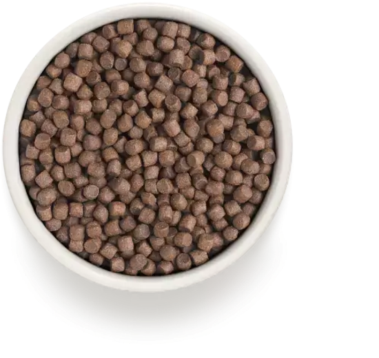 Grandorf Сухой корм для собак мини пород с Индейкой