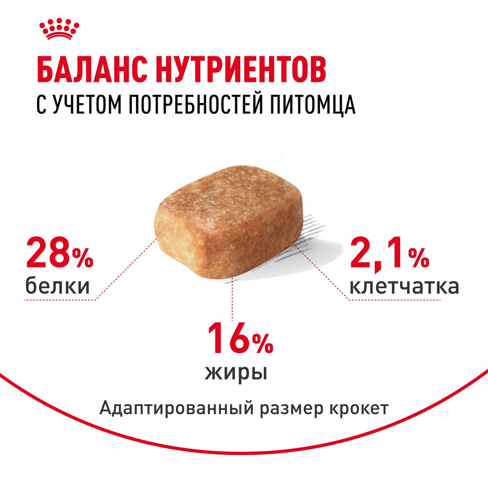 Royal Canin Chihuahua Adult Чихуахуа Эдалт Корм сухой для взрослых собак породы Чихуахуа от 8 месяцев 1,5кг