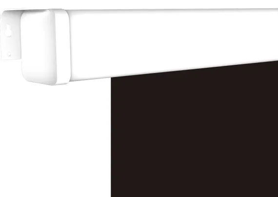 [LMP-100109CSR] Настенный экран Lumien Master Picture CSR