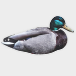 Кряква полевая 12 шт.