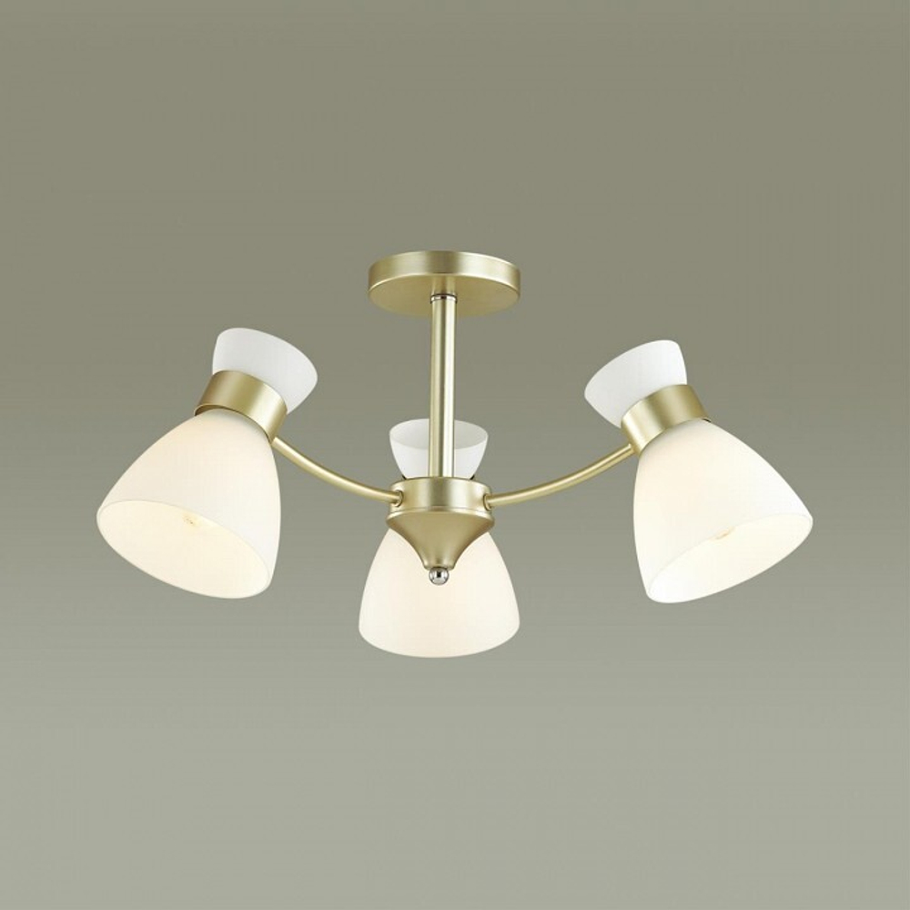 Люстра на штанге Lumion Wilma 4535/3C