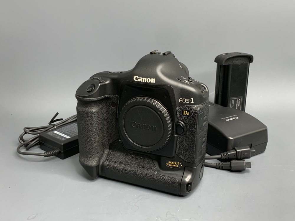 Canon EOS 1Ds Mark II 22.000 кадров