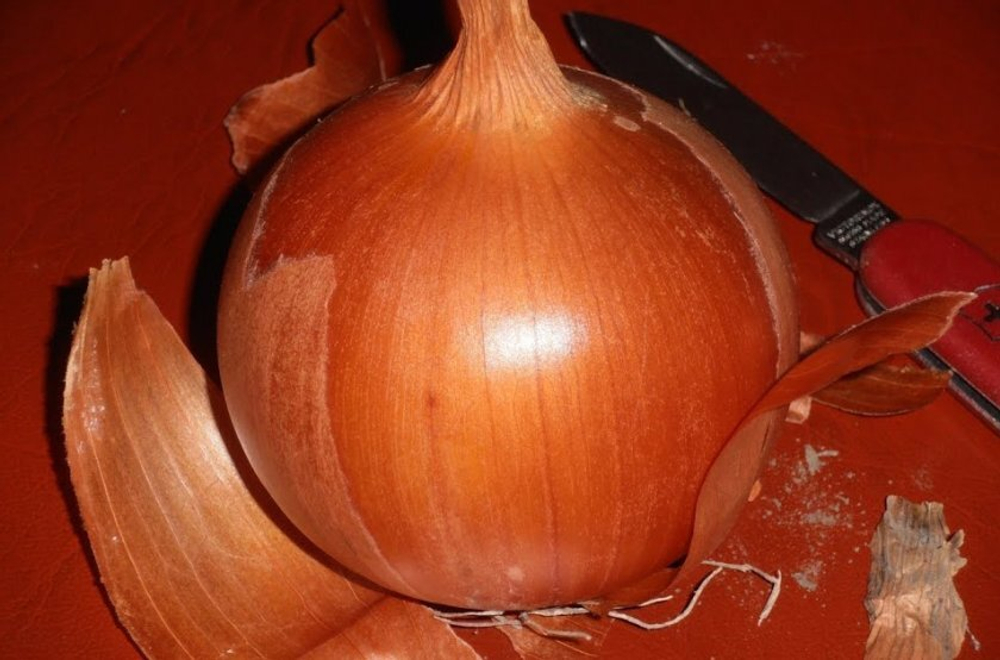 Лук-реп. Манас F1  0,5г Мировые Семена VITA GREEN