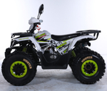 Квадроцикл TAO MOTOR HUNTER New 125