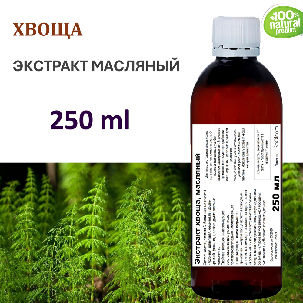 Экстракт хвоща, масляный