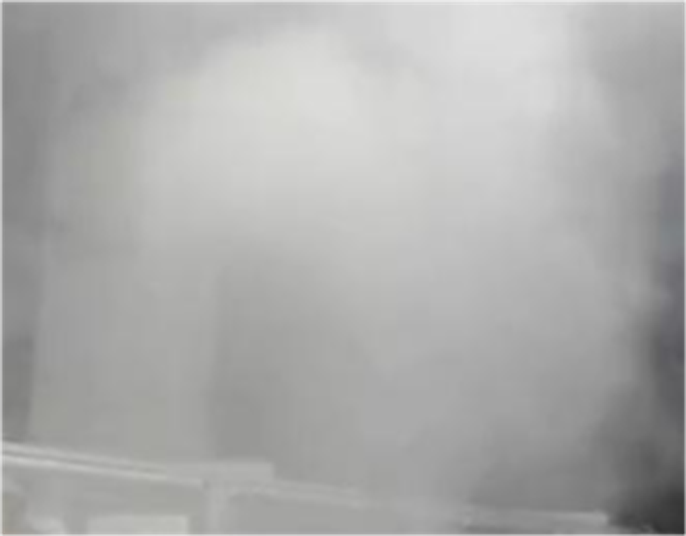 Генератор тумана Haze 1000