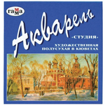 Акварель художественная "Студия" 12 цветов, без кисти, кюветы (Гамма)