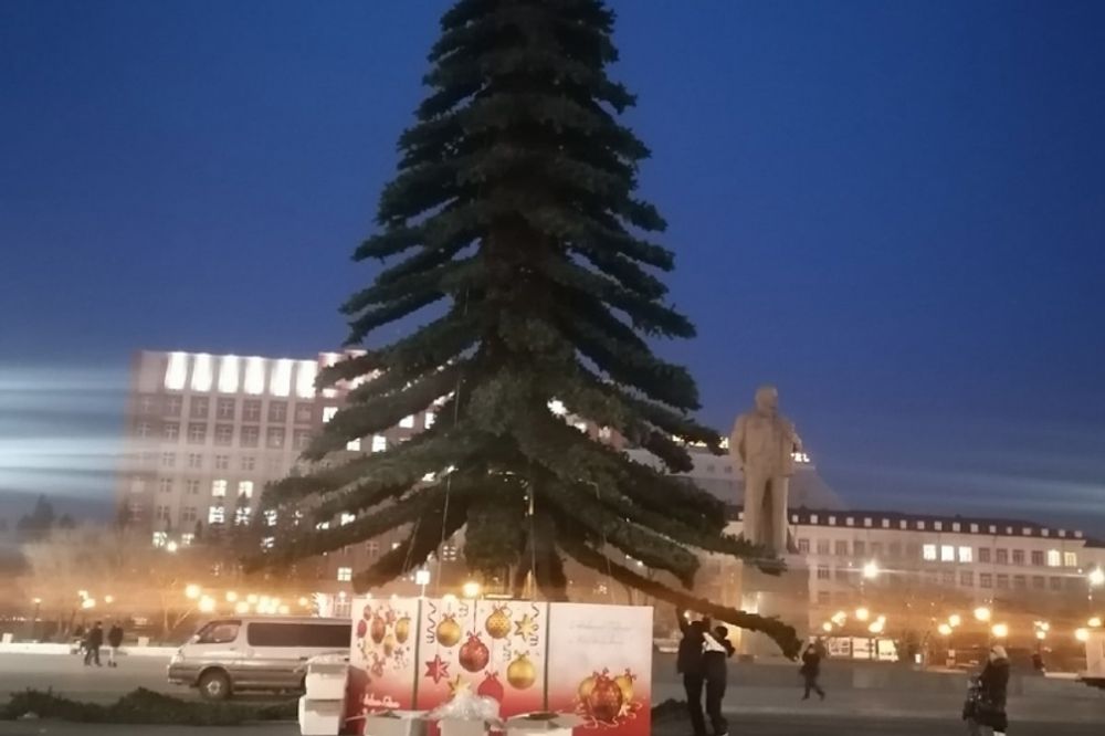 Светодинамическая елка ствольная - встроенная гирлянда: Теплый свет - "Таежная" от 11 до 21 м