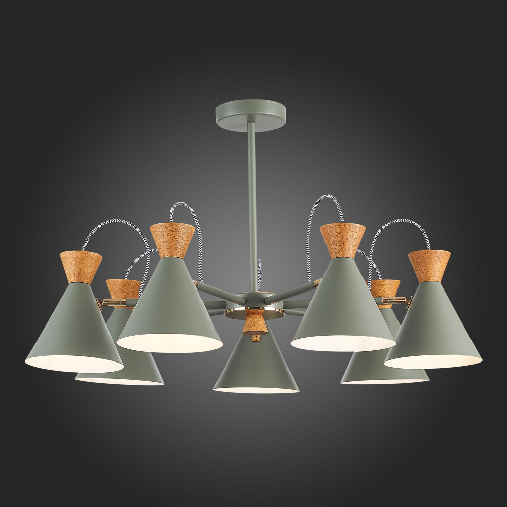 Светильник потолочный Evoluce Modica SLE125112-07