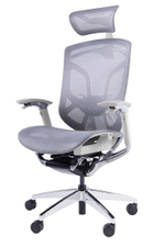 Премиум эргономичное кресло GT Chair Dvary X, серый