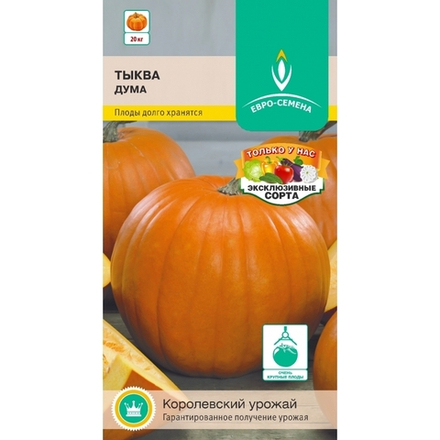 тыква Дума