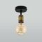 Потолочный светильник TK Lighting 1901 Retro