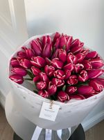 Букет из 51 малиново-белых тюльпанов - нет в наличии