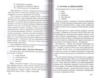 Осанна. Рассуждения человека, ревнующего о славе Божией. Архимандрит Тихон (Агриков)