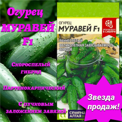 Огурец Муравей F1(5семян). Семена Алтая.