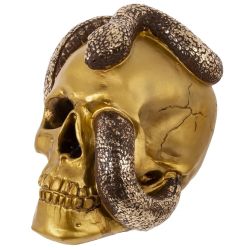 GAEM Копилка "Череп со змеей", L23 W16 H18 см, 2в.