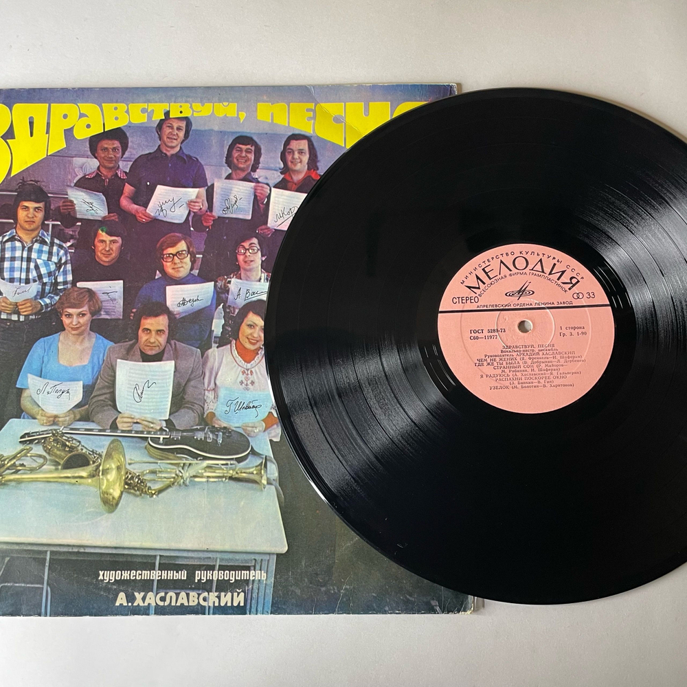 Винтажная виниловая пластинка LP ВИА Здравствуй, Песня, Девчонка Из Квартиры 45 (СССР 1980)