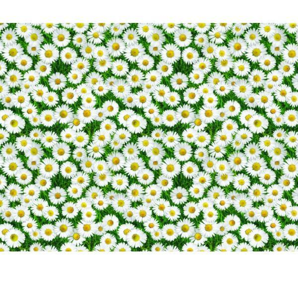 Клеенка Photoprint 140см 702 Маргаритки