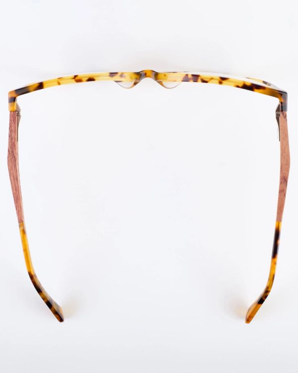 Очки солнцезащитные Moon 7 Tortoise / Gradient brown - фото 7