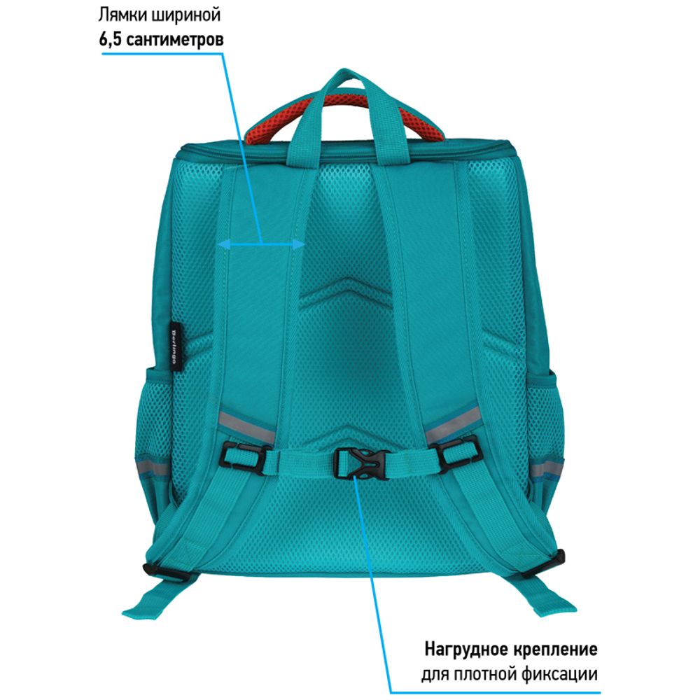 Ранец Berlingo Concept Sly fox 35х27х16см, 1 отд. с эргономичной спинкой