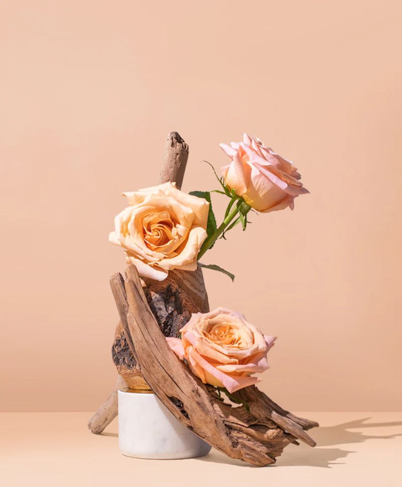 Дамасская роза и Уд (Damascena Rose &amp; Oud)