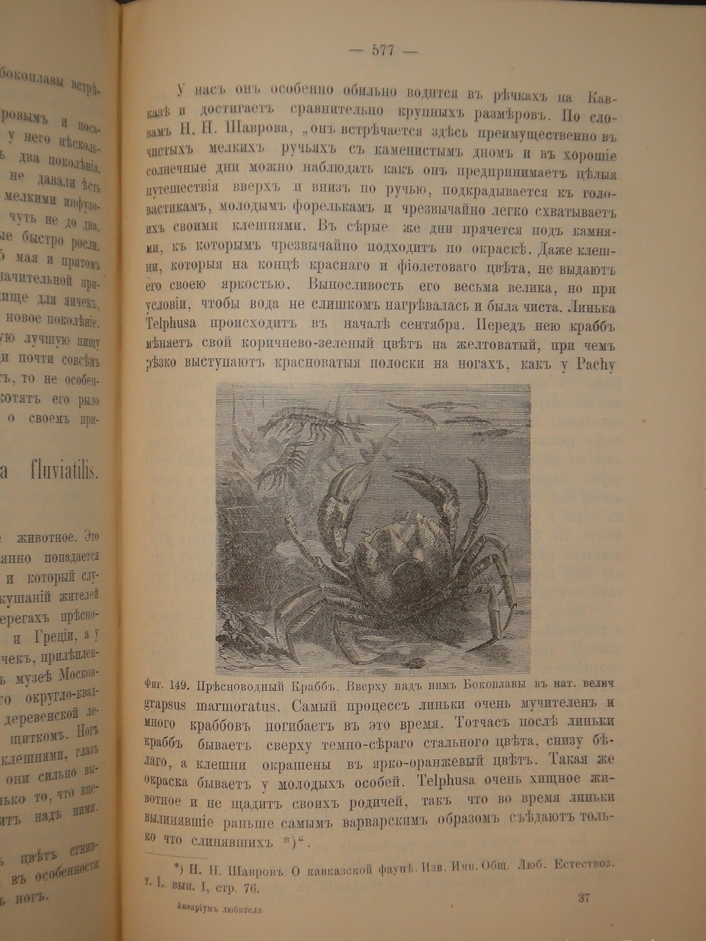 "Аквариум любителя. Подробное описание флоры и фауны аквариума, устройство аквариума, уход за ним и пр.". Н.Ф.Золотницкий. 1890г.